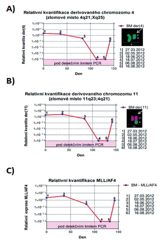 Kvantifikační grafy.
A) Relativní kvantifikace chromozomového zlomu na der(4).
B) Relativní kvantifikace chromozomového zlomu na der(11).
C) Relativní kvantifikace fúzního transkriptu MLL-AF4. BM – kostní dřeň.