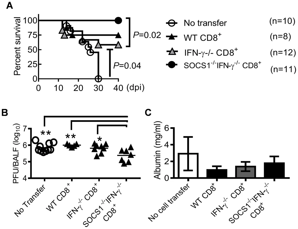 CD8<sup>+</sup> T cells from SOCS1<sup>−/−</sup>IFN-γ<sup>−/−</sup> mice protect against influenza infection.