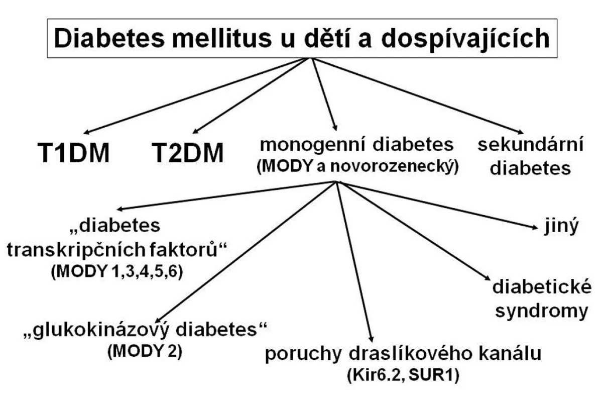 Typy diabetu u dětí a dospívajících. Řada pacientů s monogenním diabetem je mylně klasifikována jako diabetes mellitus 1. typu, případně 2. typu, protože tyto typy diabetu jsou známější. Správné zařazení typu diabetu pomáhá určit optimální terapii i dlouhodobou prognózu nemoci.
T1DM – diabetes mellitus 1. typu
T2DM – diabetes mellitus 2. typu
MODY – maturity-onset diabetes of the young