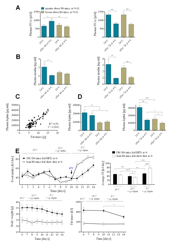 Insulin and leptin resistance in wild-type B6 DIO mice.