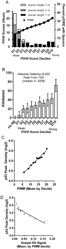 Best PWMs are correlated with chromatin accessibility and p53 occupancy.