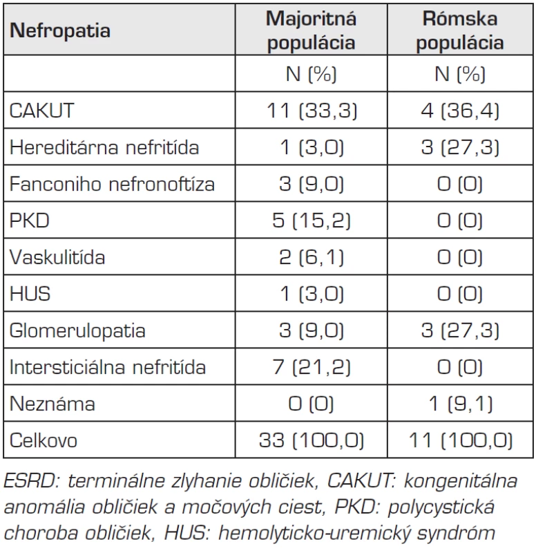 Primárne nefropatie vedúce k ESRD v populácii rómskych/nerómskych detí v rokoch 2005–2009.