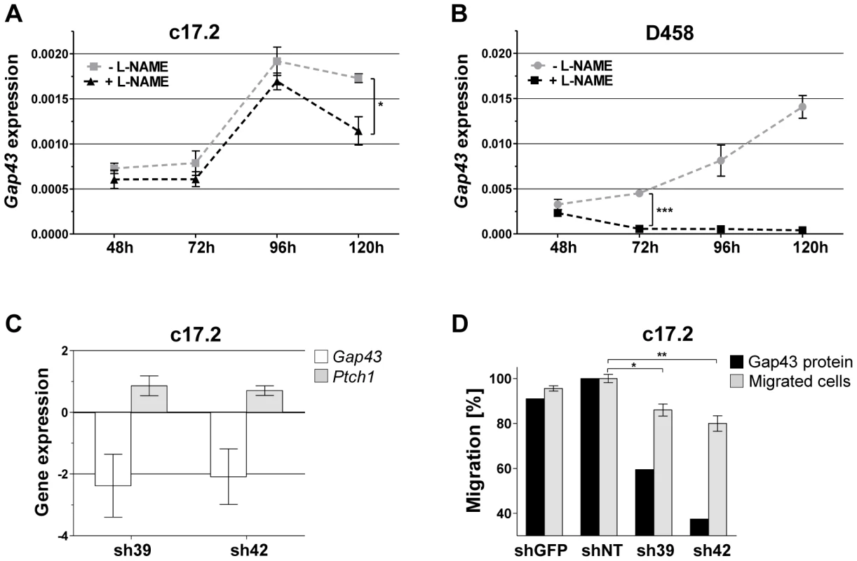 Characteristics and functional implication of Gap43 expression in cell culture.
