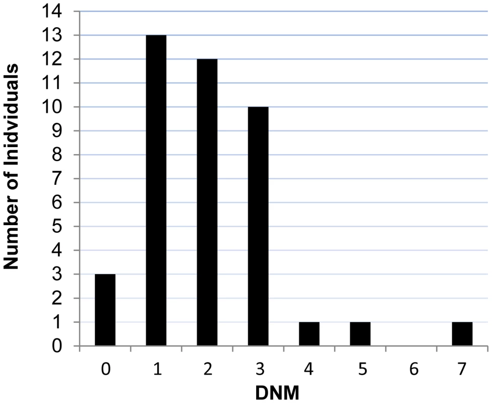 Number of DNMs per affected individual in each trio.
