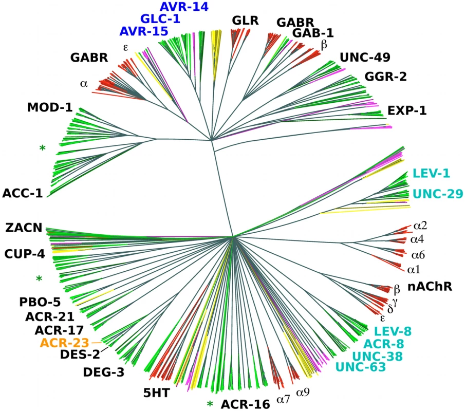 Phylogenetic tree based on the LBD region of putative LGIC genes.