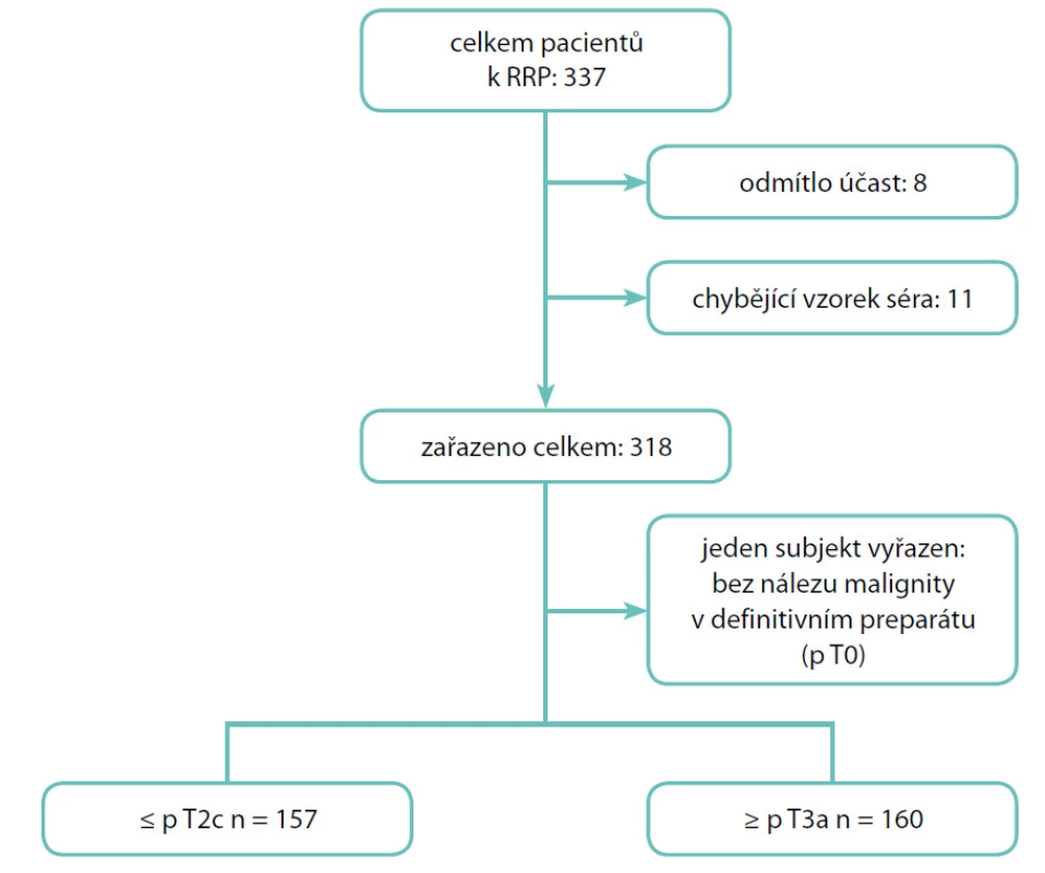 Schéma náběru pacientů do studie
Fig. 1. Patient flow diagram