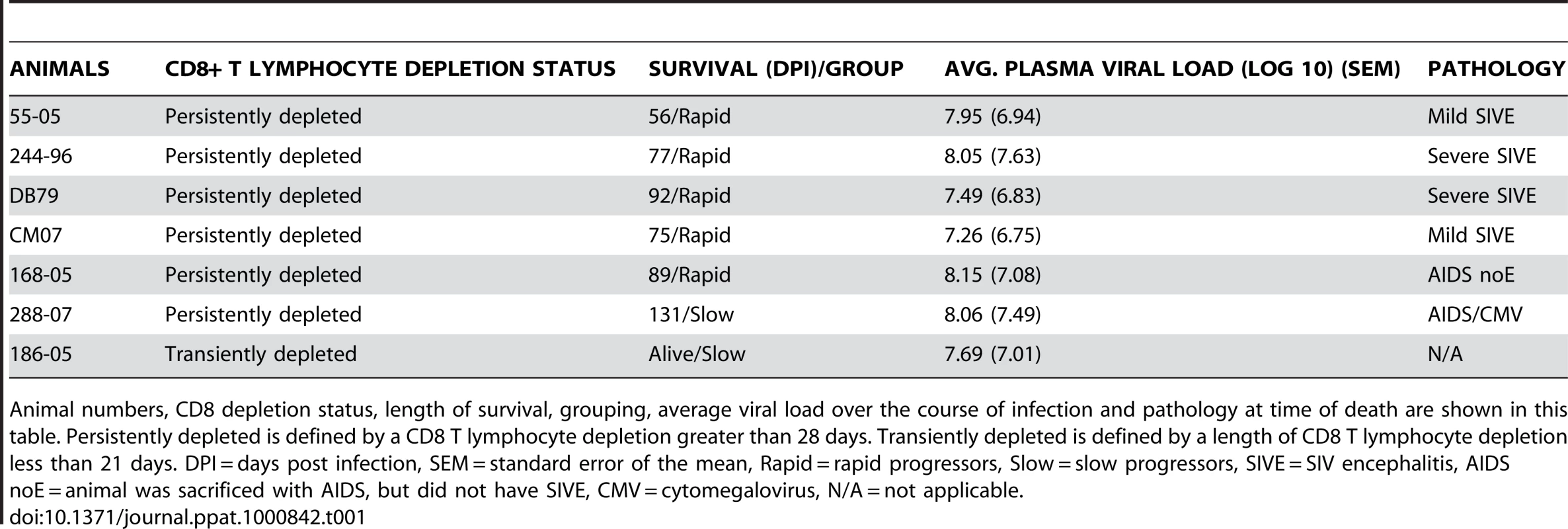 SIV CD8+ T lymphocyte depleted animals used in the study.