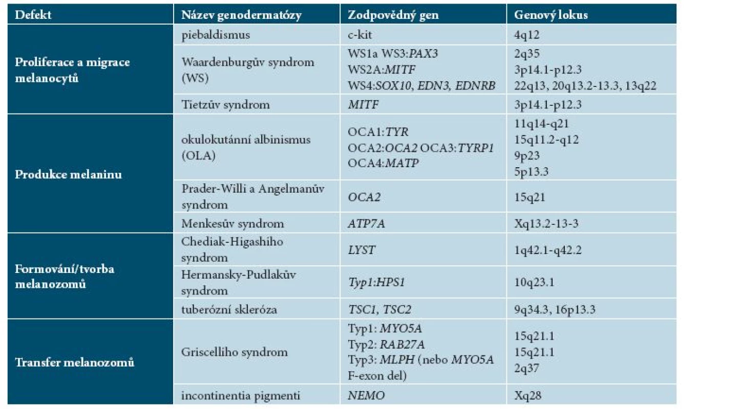 Přehled genodermatóz spojených s poruchami pigmentace