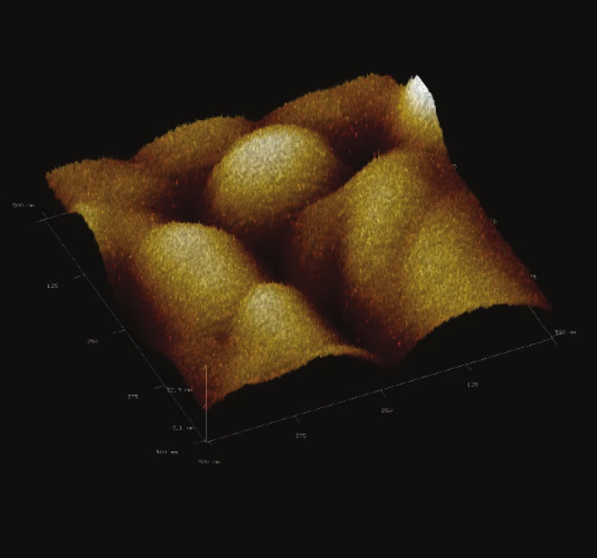 3-D zobrazení jemného detailu povrchové struktury magnetického nosiče MPG – STV coated. Vložené měřítko odpovídá 50 nm. Skenovaná oblast 500x500 nm&lt;sup&gt;2&lt;/sup&gt;, Z – rozsah 27 nm.