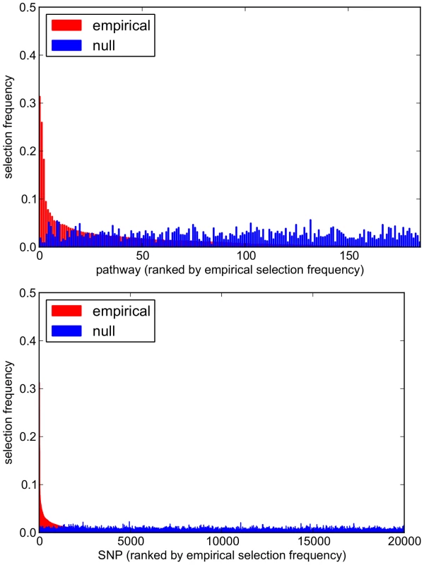 Empirical and null pathway (<i>top</i>) and SNP (<i>bottom</i>) selection frequency distributions for the SiMES dataset.