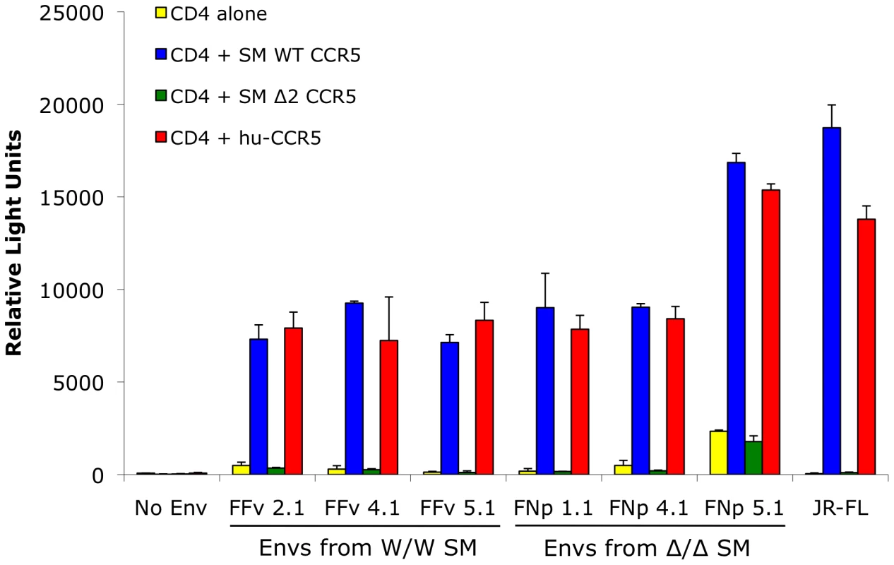 Mutant smCCR5Δ2 does not support SIV infection <i>in vitro</i>.