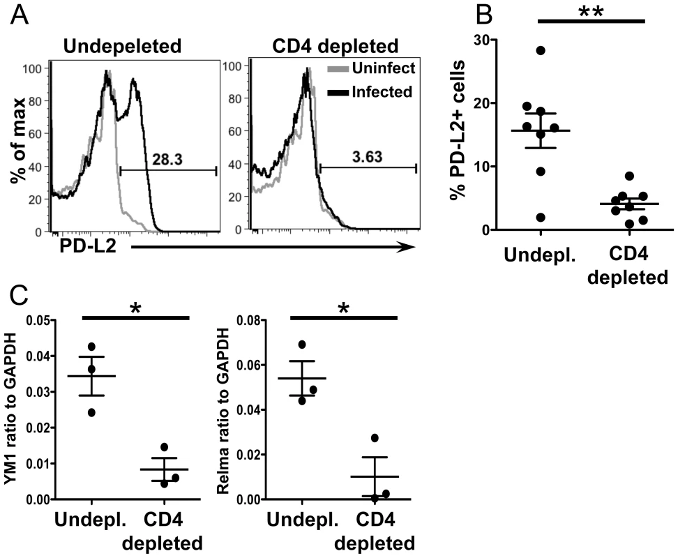CD4+ T cells are required for upregulation of PD-L2 and alternative activation.