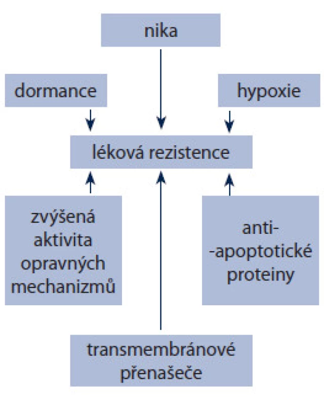 Hlavní mechanizmy lékové rezistence nádorových kmenových buněk.