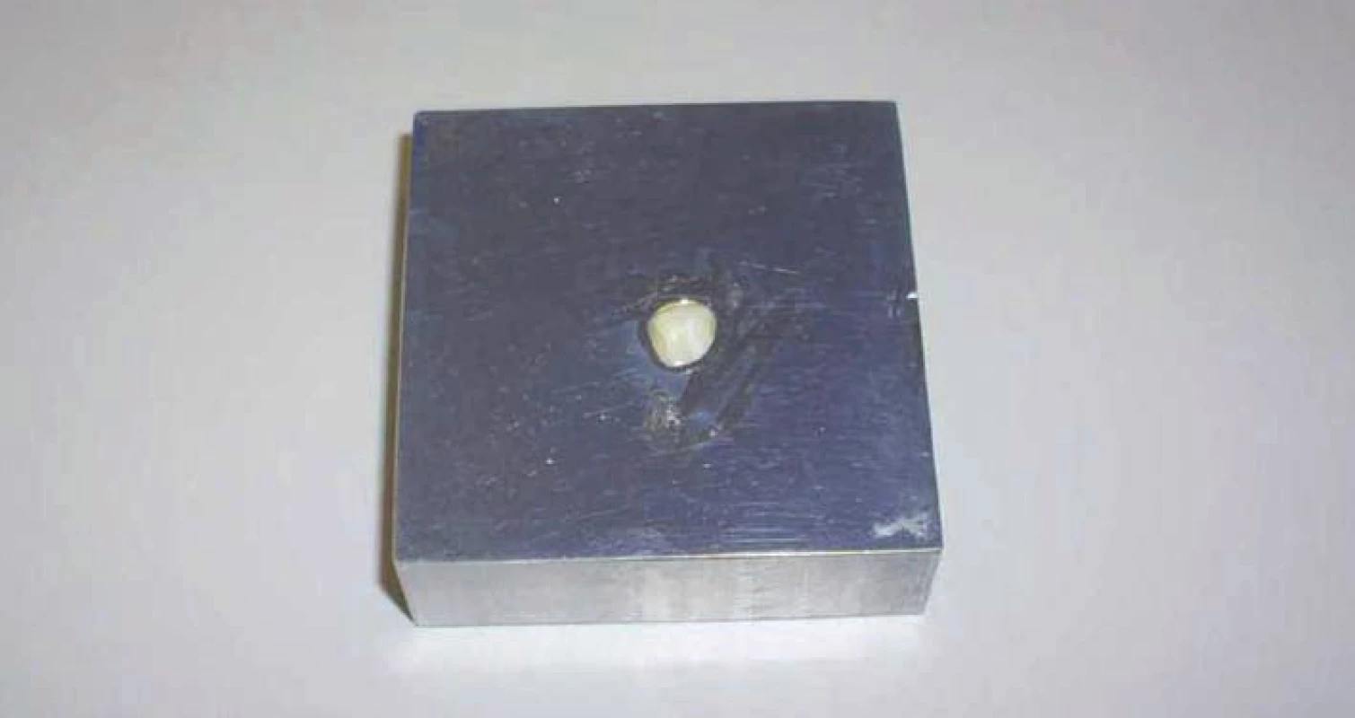 Sklovinný vzorek fixovaný na kovové destičce