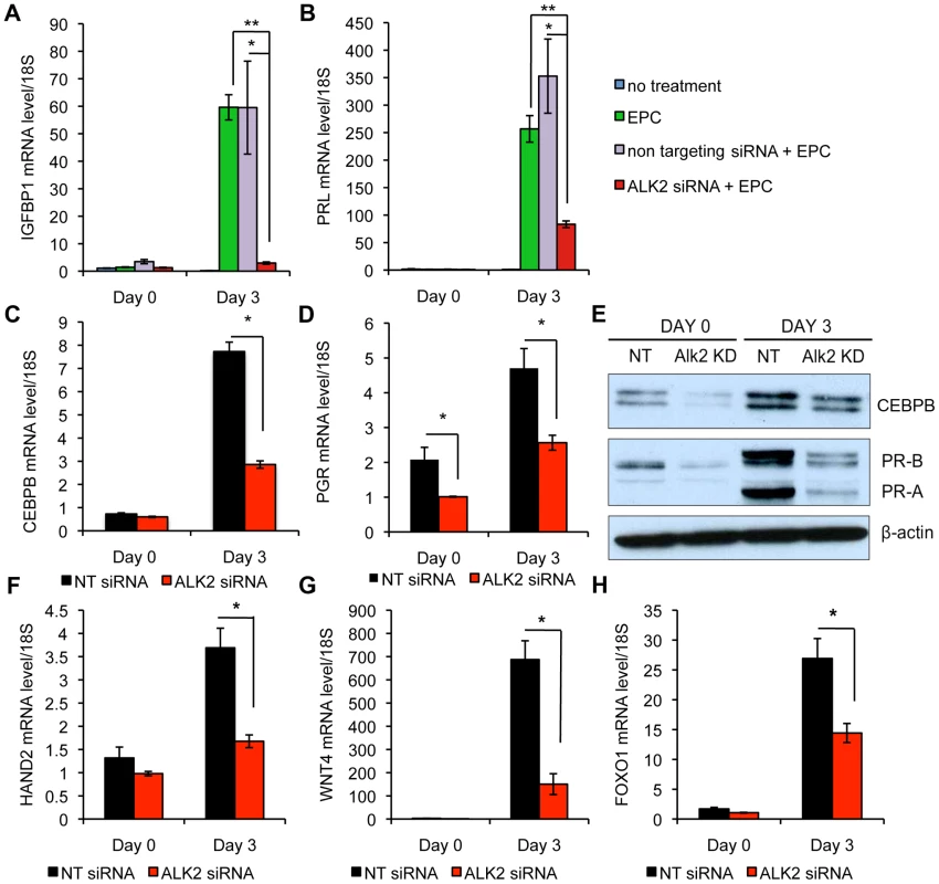 <i>Alk2</i> is required during the decidualization of human endometrial stromal cells.