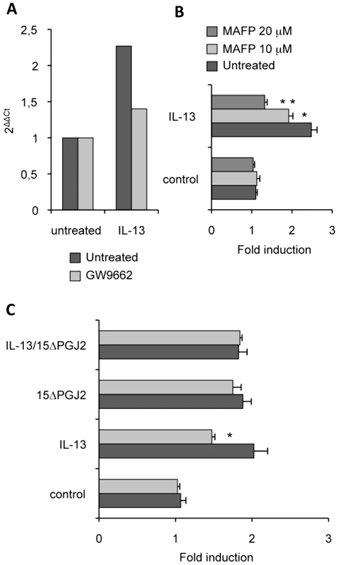 cPLA2 is involved in Dectin-1 induction by IL-13.