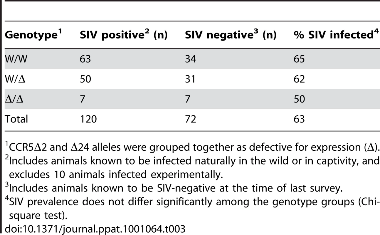 Prevalence of naturally-acquired SIV infection among YNPRC sooty mangabeys based on CCR5 genotype.