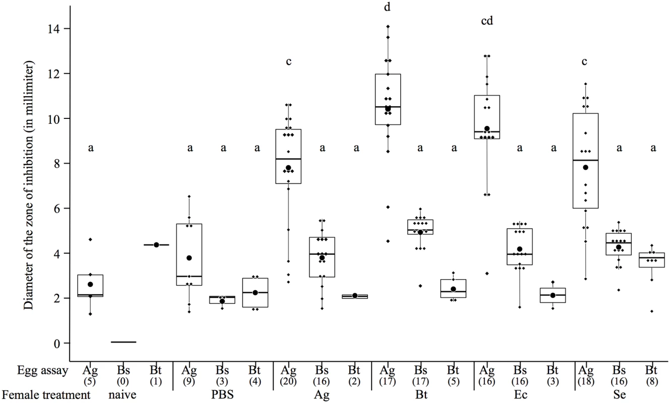 Boxplot showing the mean diameter of the zone of inhibitions (in mm) of protected egg extracts according to the microorganism on which they were tested (egg assay) and the maternal bacterial treatment.