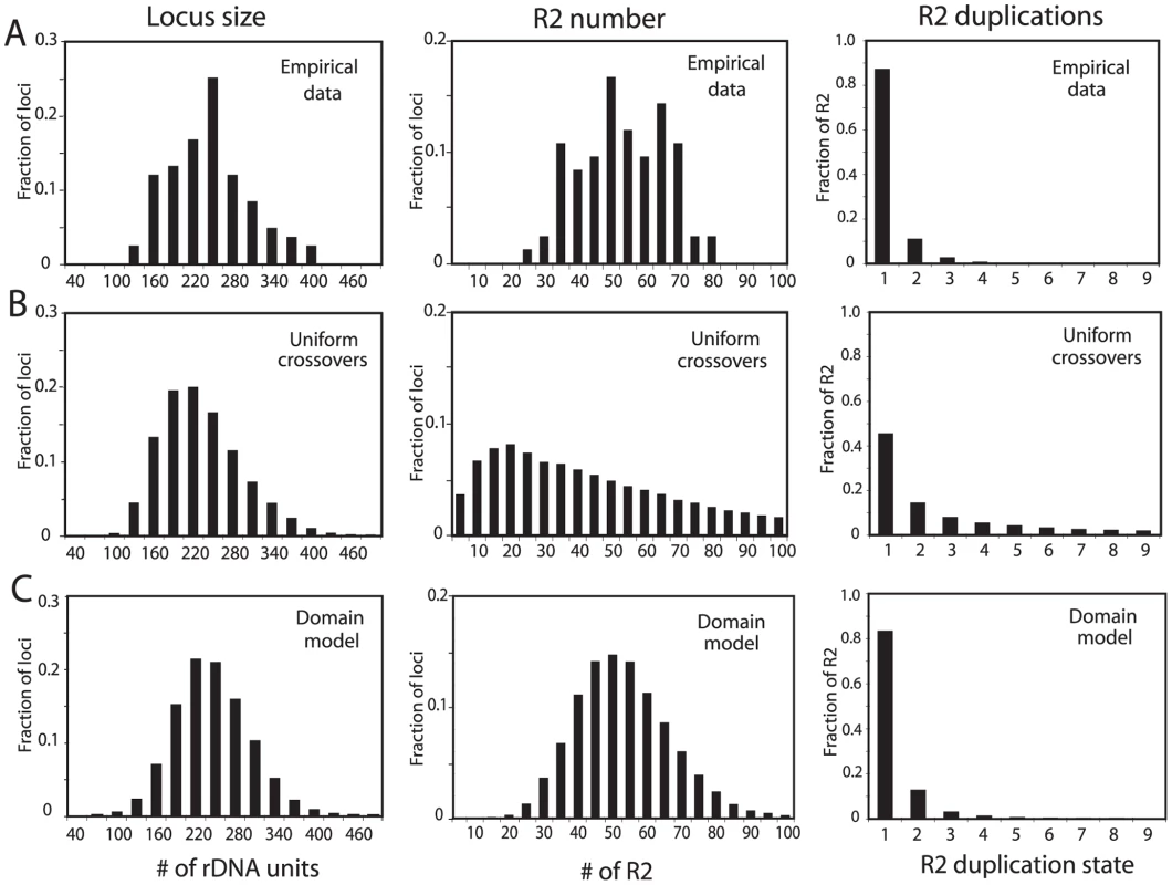 Comparison of the rDNA loci from natural populations with computer simulated loci generated by simple crossover models of concerted evolution.