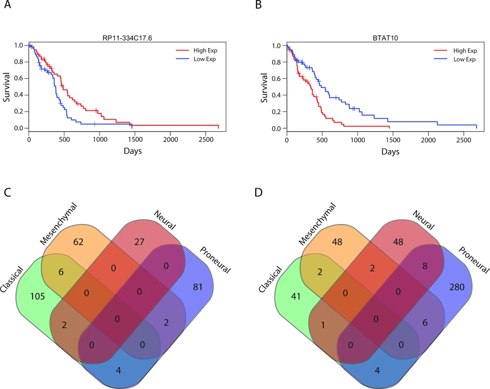 Survival-associated lncRNAs in GBMs and GBM subtypes.