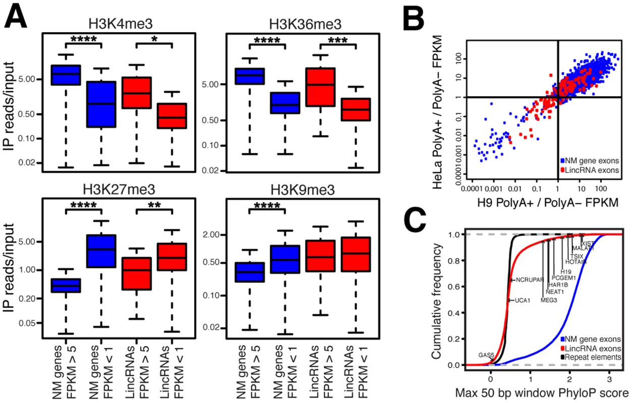 LincRNAs possess features inconsistent with transcriptional noise.