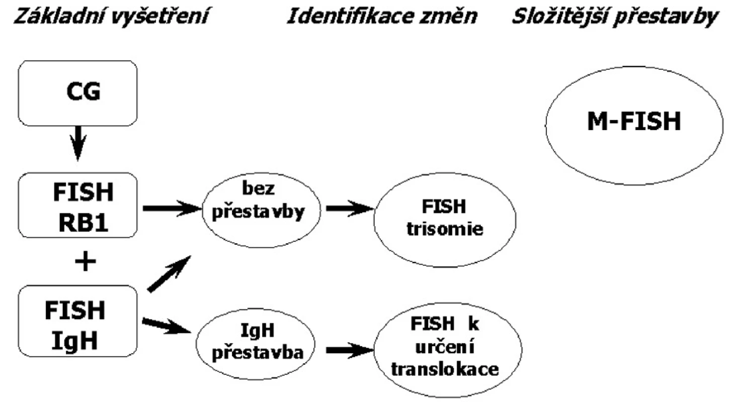 Schéma postupu vyšetření kostní dřeně u pacientů s MM.
Vysvětlivky k obrázku 1
CG - klasická cytogenetická analýza,
FISH - fluorescenční in situ hybridizace
M-FISH – Mnohobarevná fluorescenční in situ hybridizace