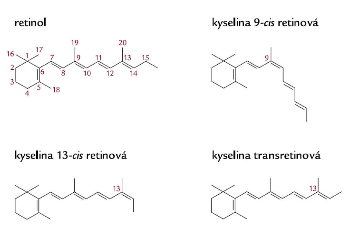 Chemická struktura retinoidů. Chemické vzorce retinolu (provitaminu A, pro člověka zdroje vitaminu A v potravě), aktivního vitaminu A, tj. kyseliny retinové (tretinoinu, kyseliny transretinové – ATRA) a jejích stereoizomerů, kyseliny 13-cis retinové (isotretinoinu, 13cRA) a 9- cis retinové (alitretinoinu, 9cRA) [102].