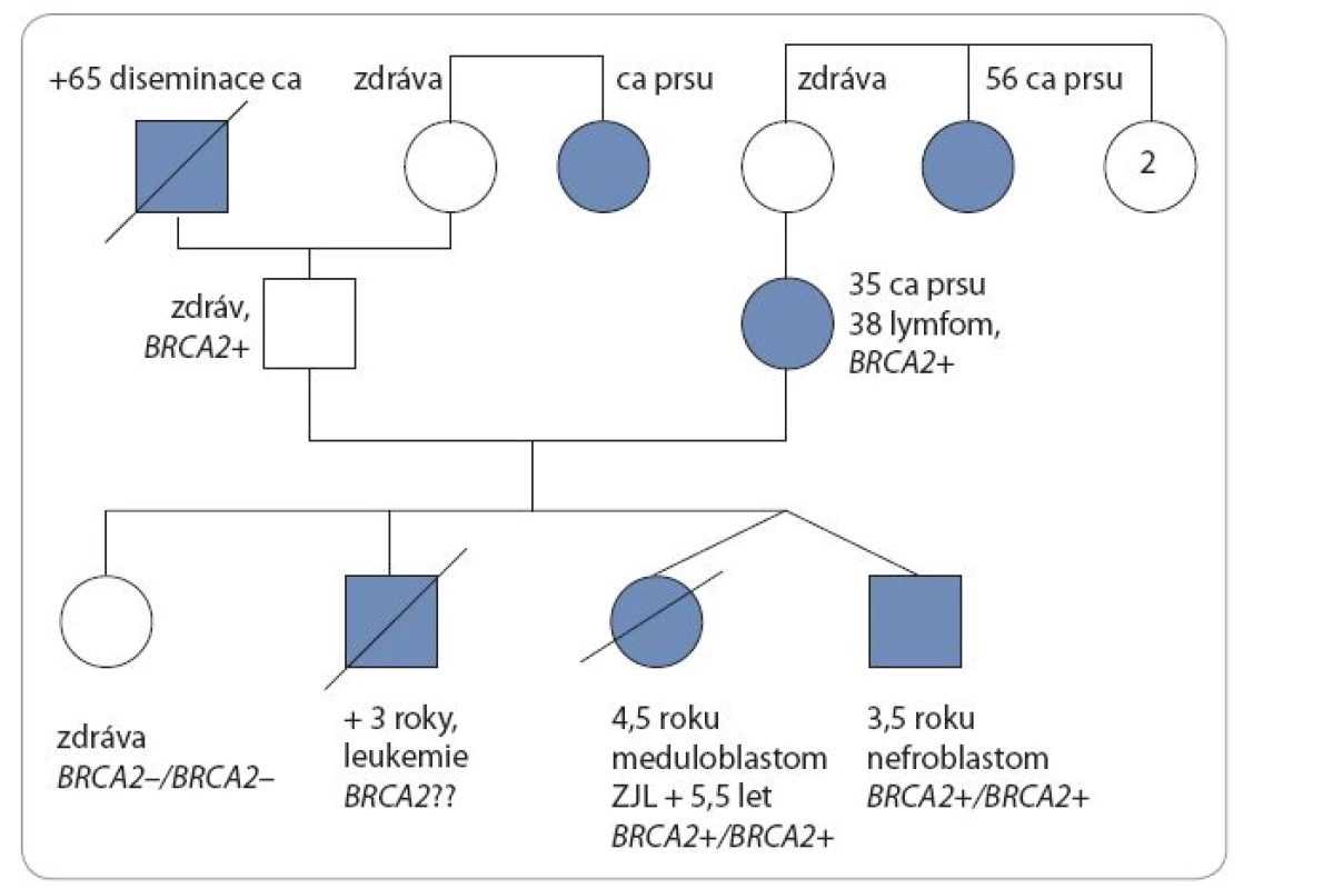 Rodokmen rodiny s bialelickou mutací genu &lt;em&gt;BRCA2&lt;/em&gt;.