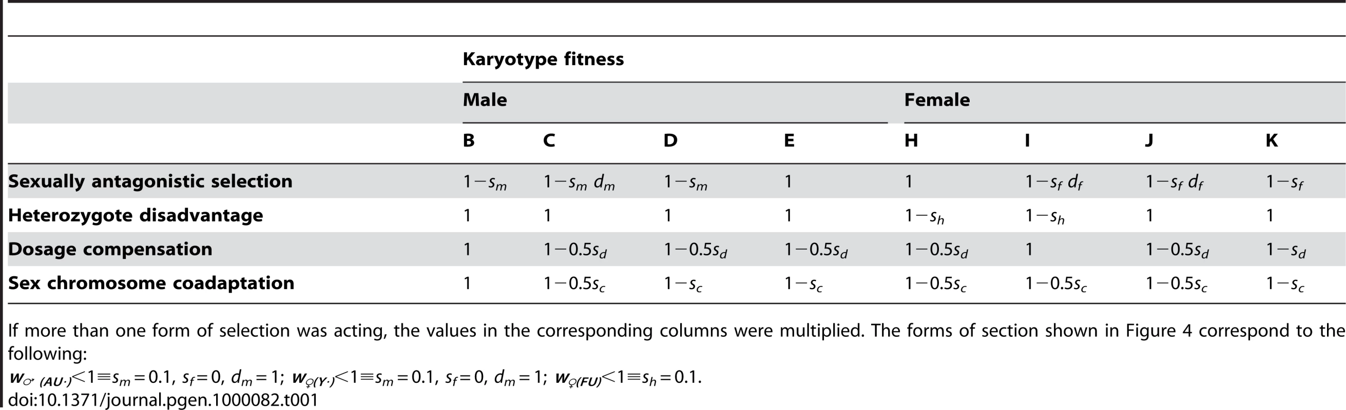 The finesses of the karyotypes under different forms of selection.