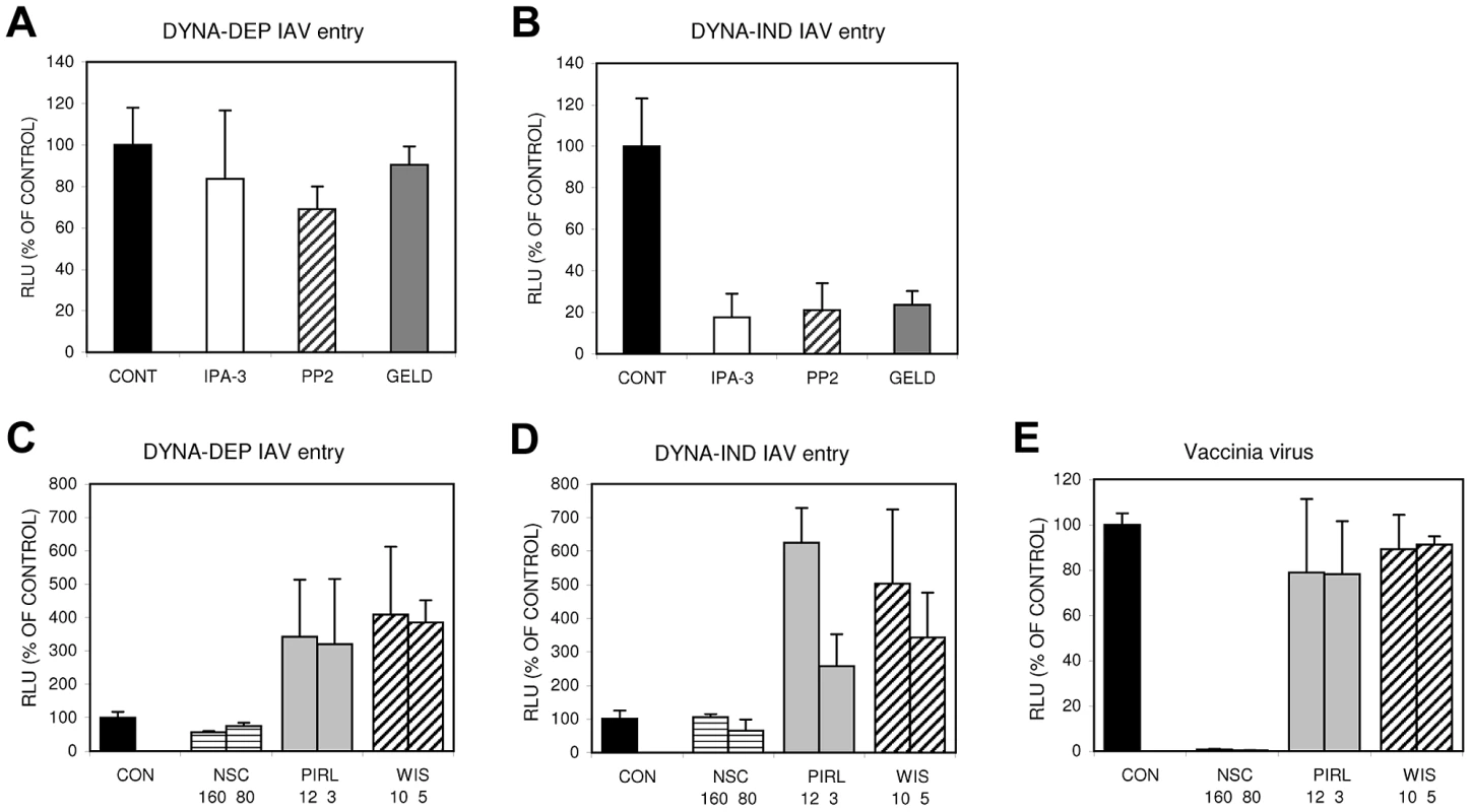 The DYNA-IND IAV entry pathway is sensitive to inhibitors of PAK1, src and HSP90.