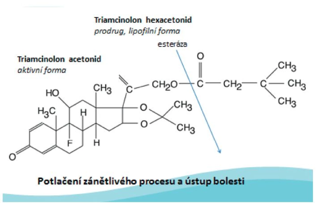 Mechanismus účinku triamcinolonu hexacetonidu.