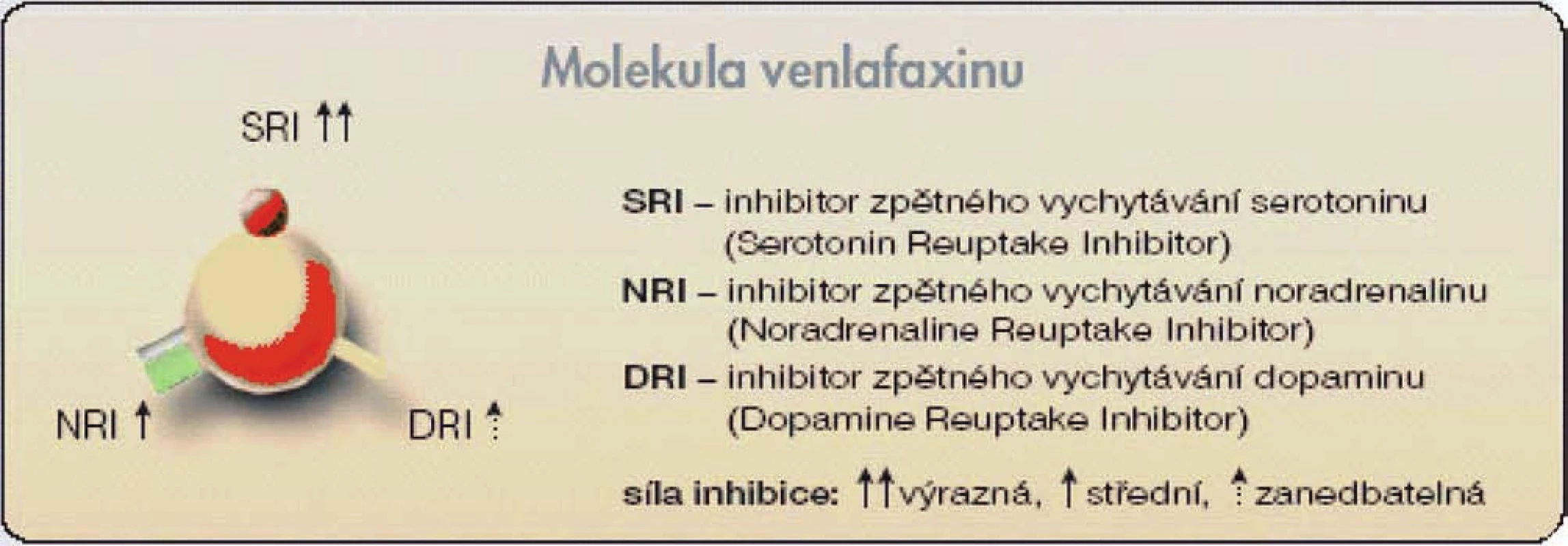 Molekula venlafaxinu (antidepresiva ze skupiny SNRI) s částmi odpovědnými za inhibici zpětného vychytávání serotoninu (SRI), noradrenalinu (NRI) a dopaminu (DRI)
