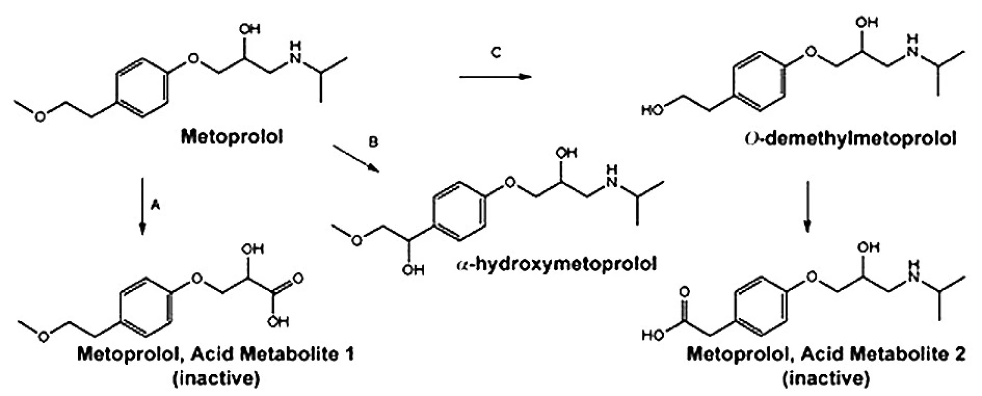 Hlavní cesty metabolismu metoprololu 4)