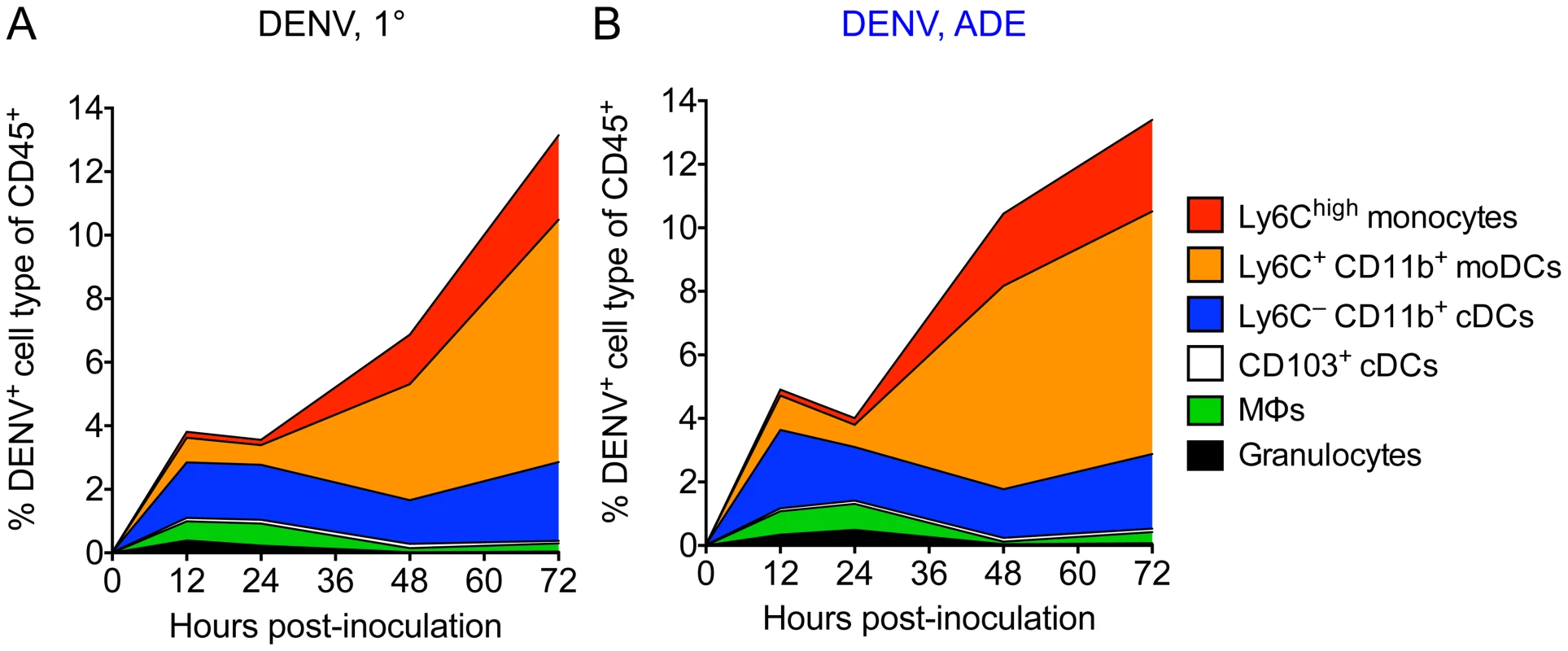 The main targets for DENV infection in the dermis over time.