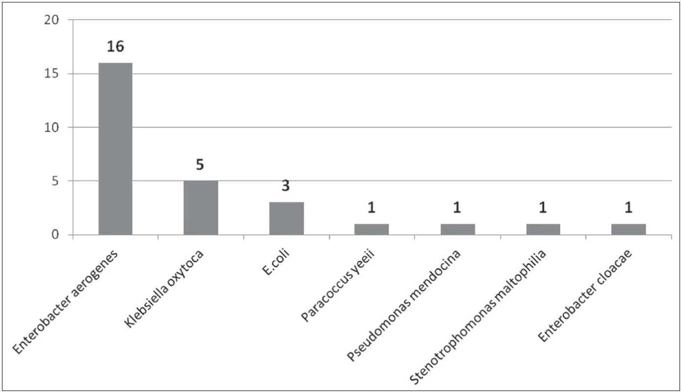 Počty izolovaných gramnegativních bakteriálních kmenů z ošetřujícího personálu
Fig. 2. Counts of Gram-negative bacterial strains isolated from health care providers