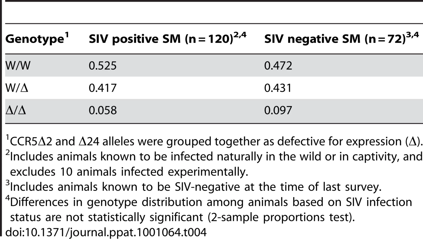 Genotypic distribution among YNPRC sooty mangabeys based on SIV infection status.