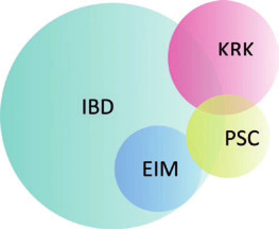 Schematické znázornění vztahu PSC, IBD, EIM a KRK. PSC – primární sklerozující cholangitida, IBD – idiopatický střevní zánět, KRK – kolorektální karcinom, EIM – extraintestinální manifestace IBD.
Fig. 4. Diagram of the relationship between PSC, IBD, EIM and CRC. PSC – primary sclerosing cholangitis, IBD – inflammatory bowel disease, CRC – colorectal carcinoma, EIM – extraintestinal manifestation of IBD.