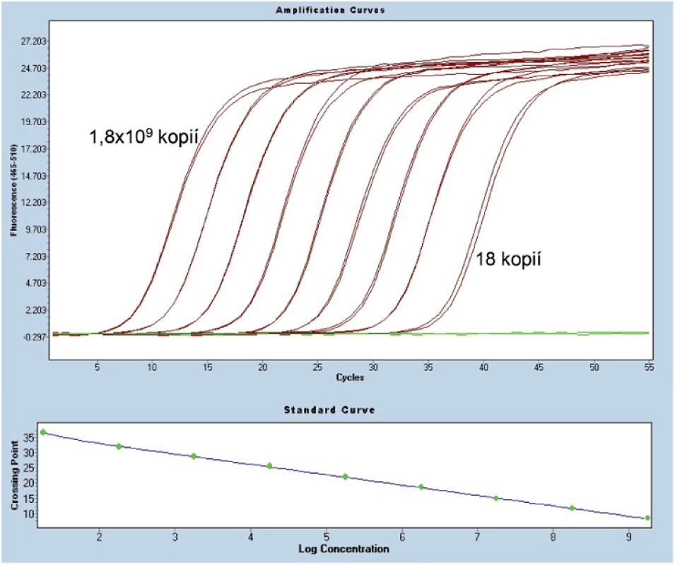 Amplifikace plazmidové standardní kalibrační křivky z přístroje LightCycler 480. &lt;em&gt;Horní graf:&lt;/em&gt; Osa x udává počet cyklů PCR, osa y hladinu fluorescence. &lt;em&gt;Dolní graf:&lt;/em&gt; Osa x udává log koncentraci plazmidu a osa y počet cyklů PCR.