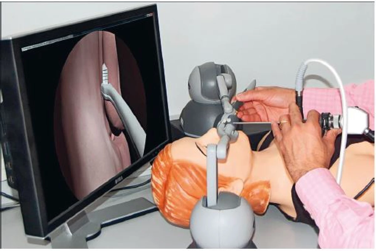 Praktická ukážka práce na GPRWMF Endoscopic Sinus Simulation.