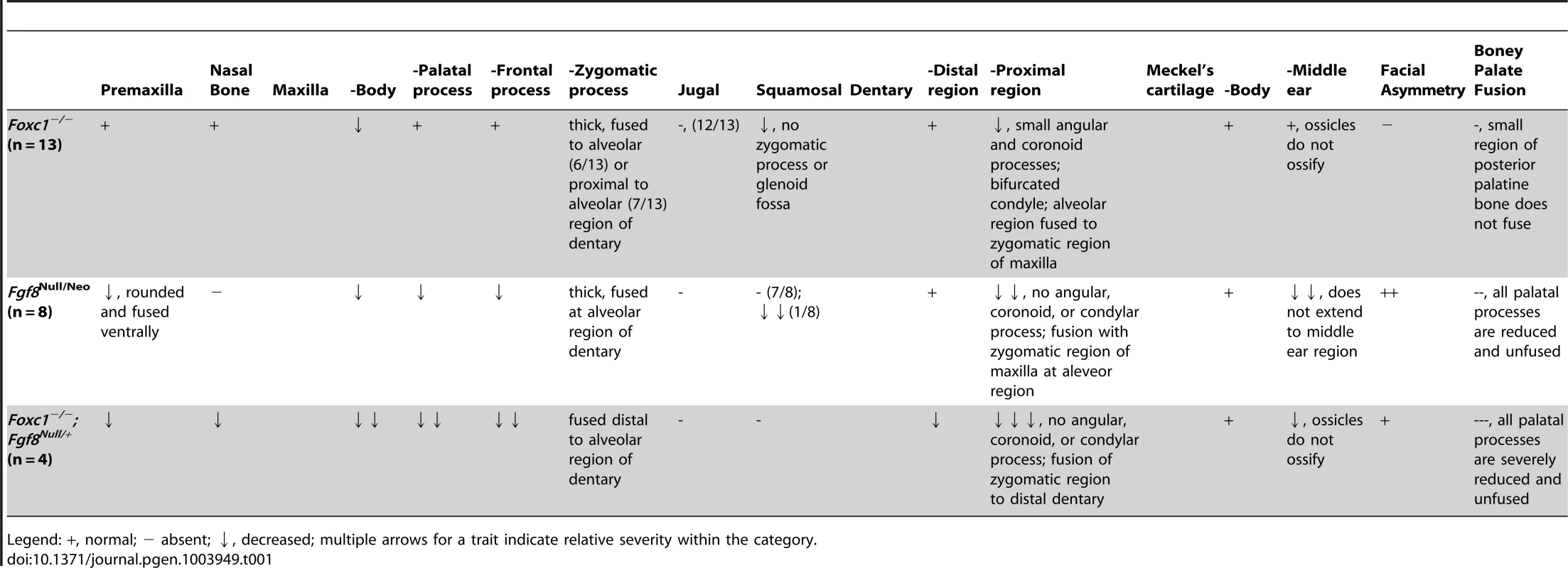 Summary of skeletal phenotypes in jaw related structures.
