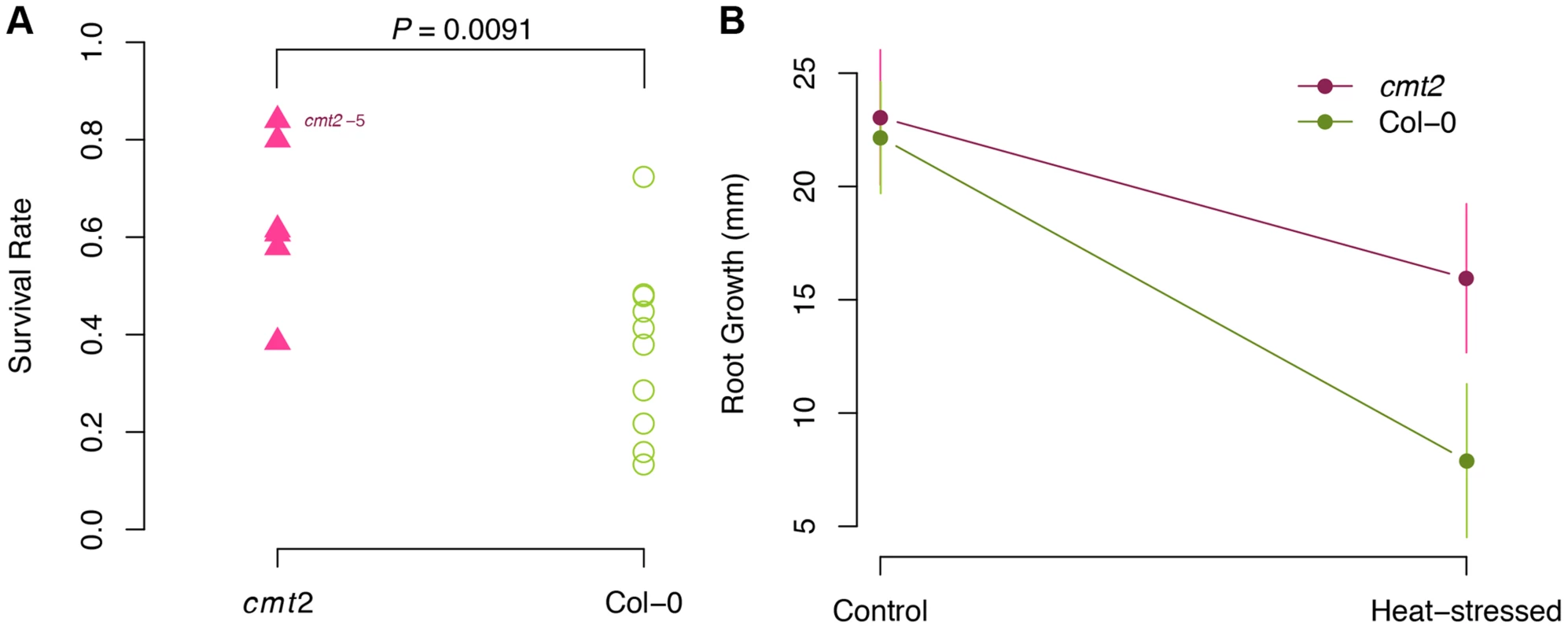 <i>cmt2</i> mutant plants display an increased tolerance to heat-stress.