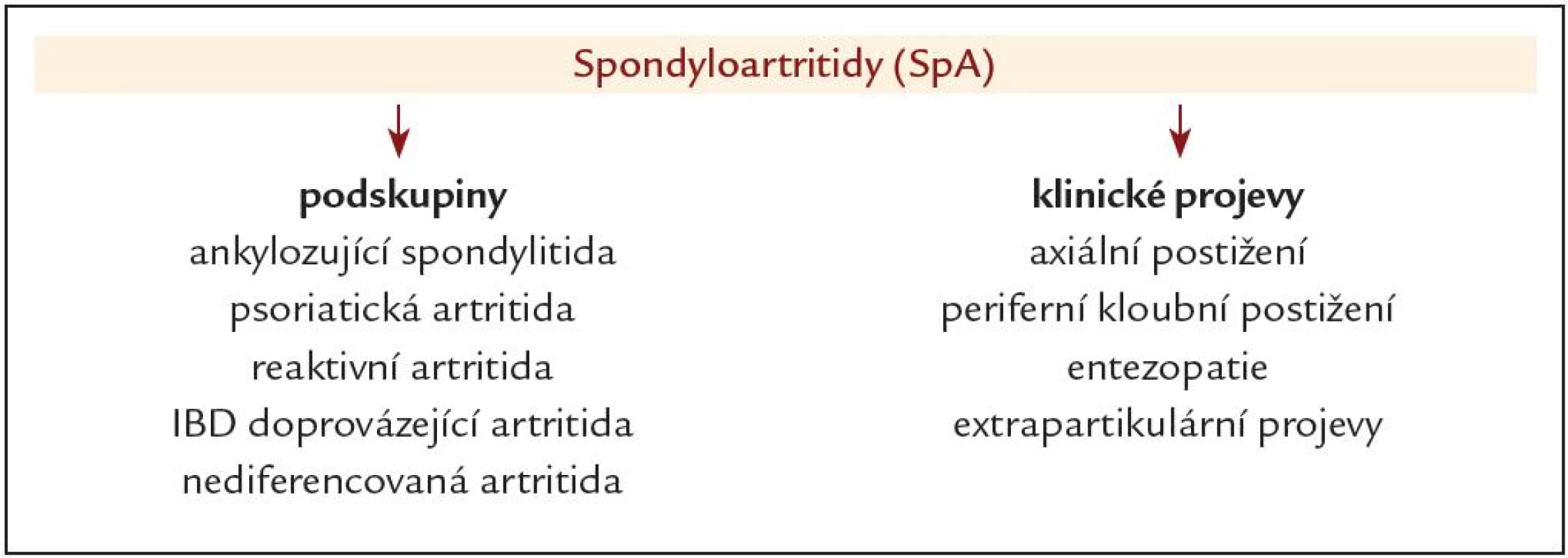 Rozdělení spondyloartritid podle klinických jednotek a predominantních klinických projevů.