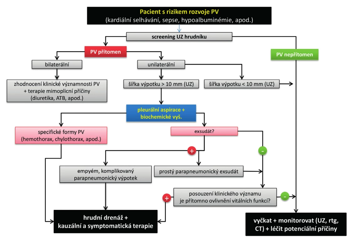 Schéma úvodního diagnosticko-terapeutického algoritmu u pacientů s pleurálním výpotkem 
v intenzivní péči