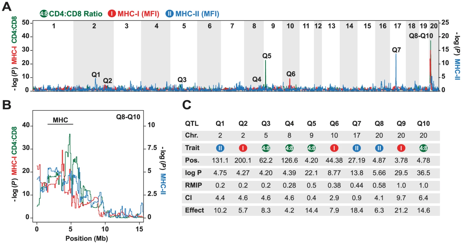 Genetic mapping in heterogeneous stock (HS) rats.