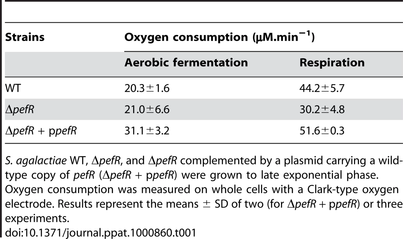 Measurement of oxygen consumption according to metabolism in WT and Δ<i>pefR</i> strains.