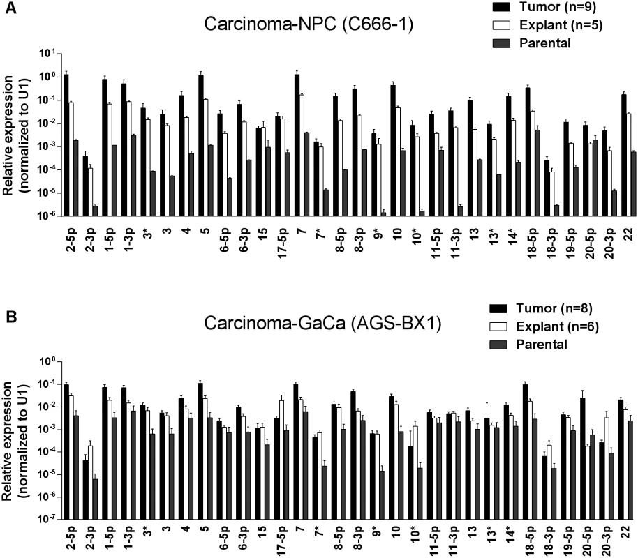 BART miRNA expression is up regulated when carcinoma cells are grown <i>in vivo</i>.