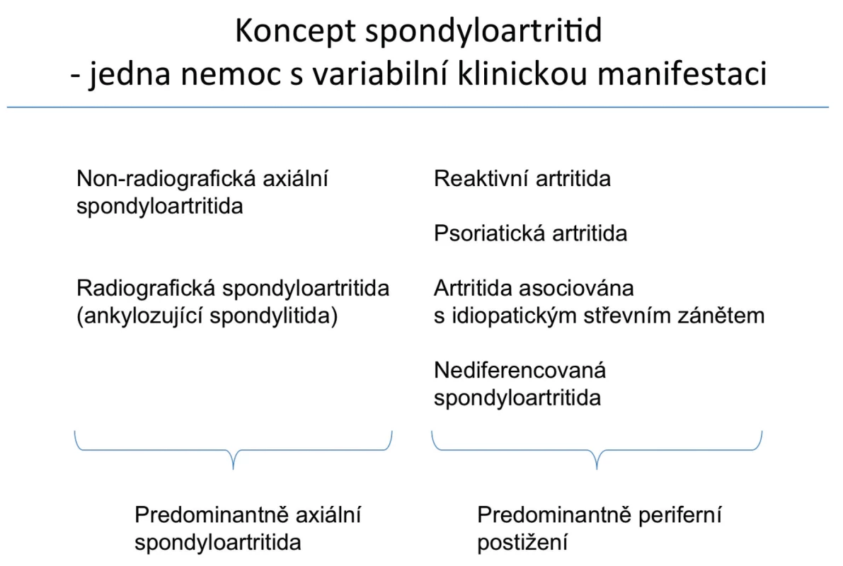 Koncept spondyloartritid – upraveno dle ASAS (1).