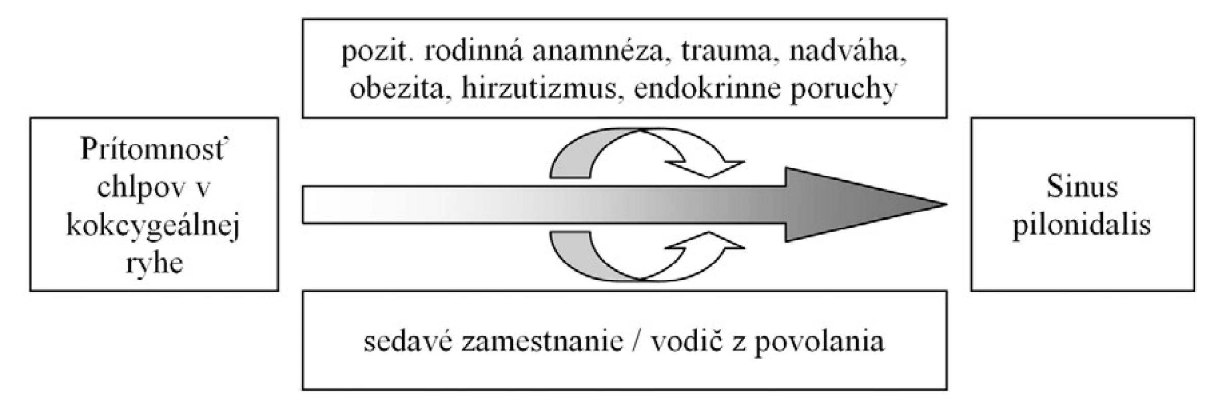 Názorný nákres rizikových faktorov vzniku pilonidálneho sinusu – voľne podľa [2, 7].
Obr. 1. Scheme of pilonidal sinus disease risk factors – according [2, 7].