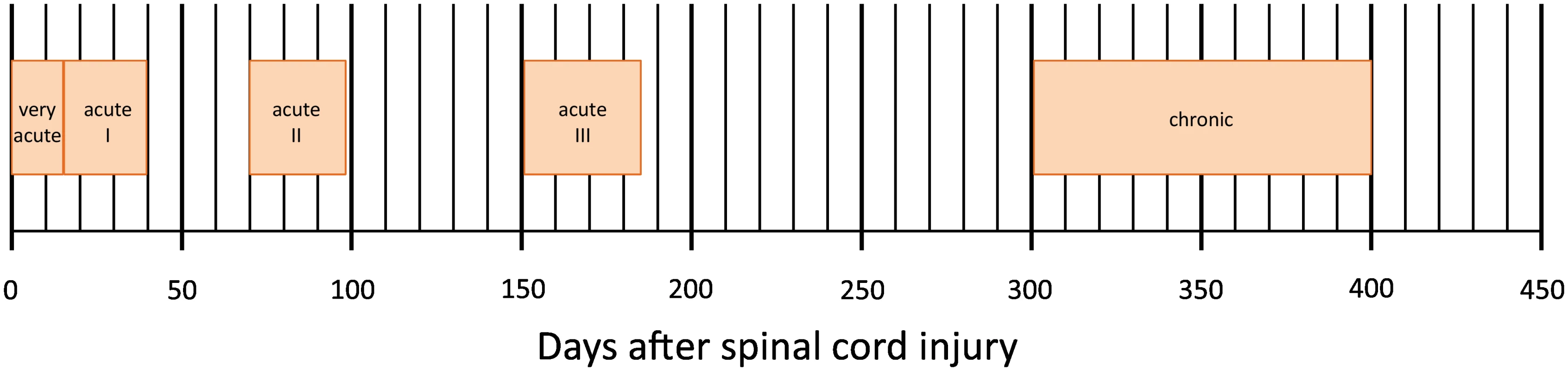 Time schedule of assessments in days after spinal cord injury of the European Multicenter Study about Spinal Cord Injury (EMSCI, &lt;a href=&quot;http://www.emsci.org&quot;&gt;www.emsci.org&lt;/a&gt;).