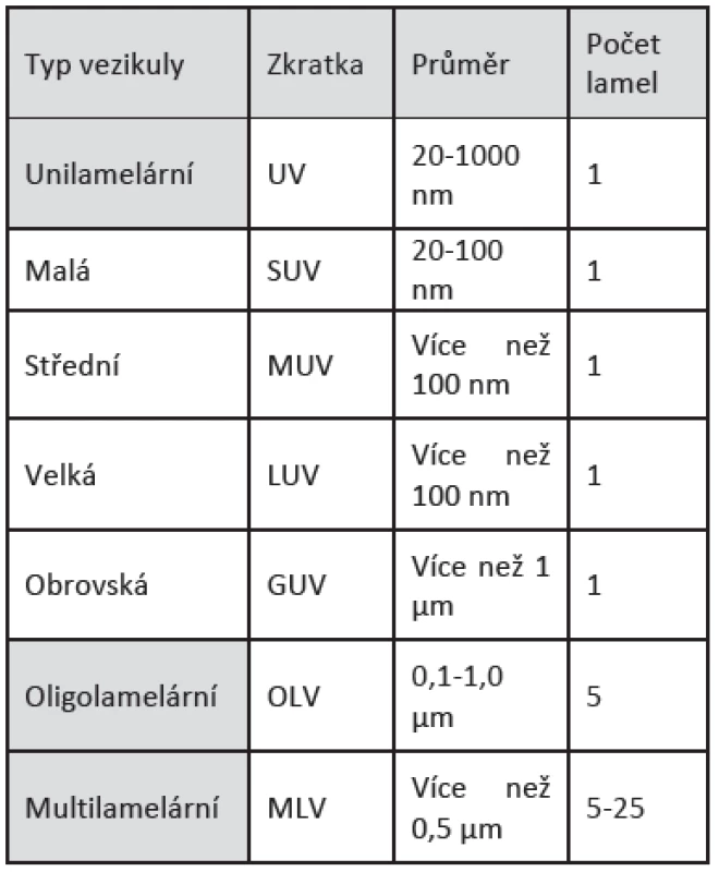 Klasifikace liposomů na základě jejich struktury (převzato a upraveno z [24].